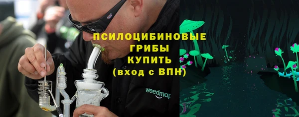 стаф Арсеньев