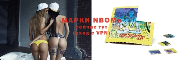 стаф Арсеньев
