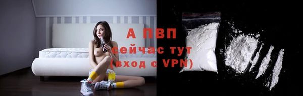 стаф Арсеньев