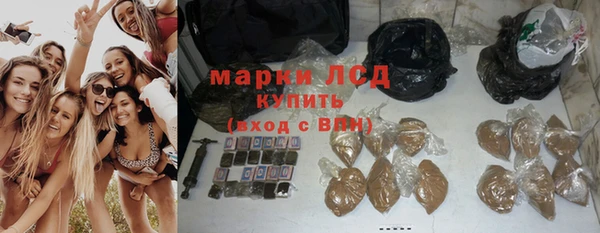 стаф Арсеньев