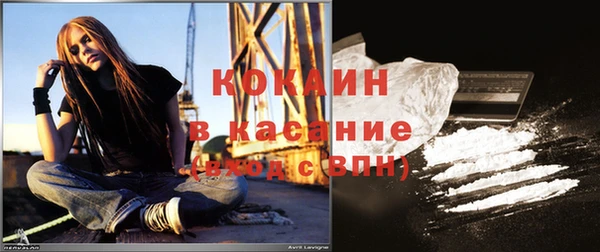 прущие грибы Армянск