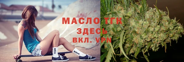 стаф Арсеньев