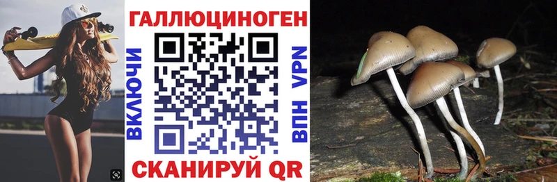 Псилоцибиновые грибы Psilocybe  магазин продажи   Фролово 